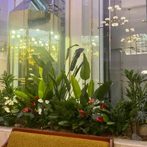 image-2-4